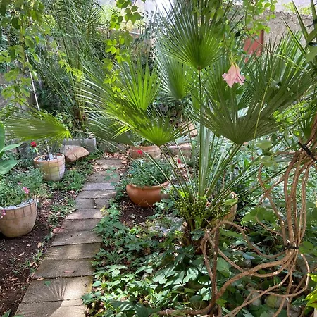 Gb Apartment Dubrovnik